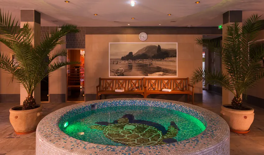 Honti Panzi Visegrd - Karcsony (min. 3 j)