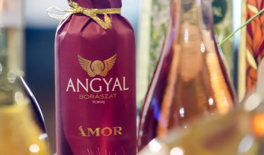 Hotel Aurum Hajdszoboszl - Karcsony - teljes elrefizetssel (min. 3 j)