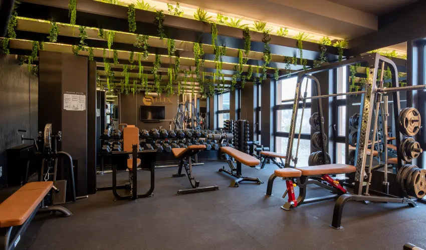 Hotel Bodrog Wellness & Elix Spa S�rospatak - Kar�csony (min. 2 �j)