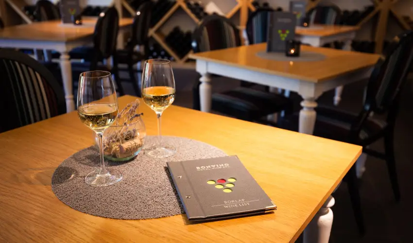 Hotel Bonvino Wine & Spa Badacsony - Karcsony - teljes elrefizetssel (min. 3 j)