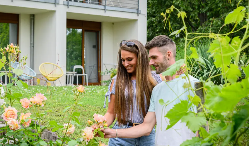 Hotel Bonvino Wine & Spa Badacsony - Karcsony - teljes elrefizetssel (min. 3 j)