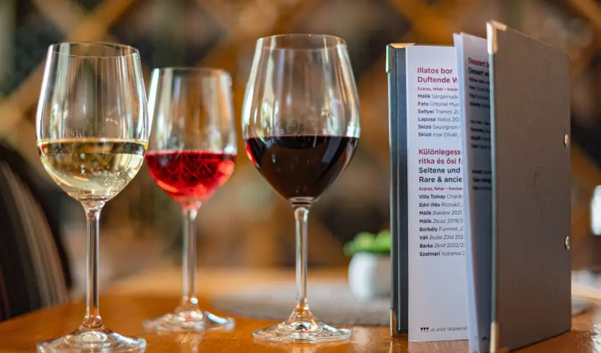 Hotel Bonvino Wine & Spa Badacsony - Karcsony - teljes elrefizetssel (min. 3 j)