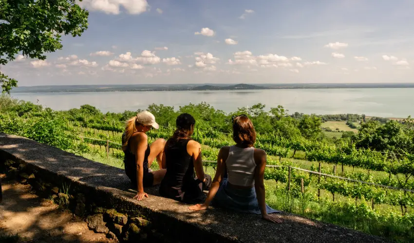 Hotel Bonvino Wine & Spa Badacsony - Kar�csony (min. 3 �j)