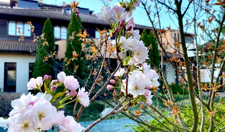 Caramell Premium Resort Bk, Bkfrd - Karcsony (min. 3 j)