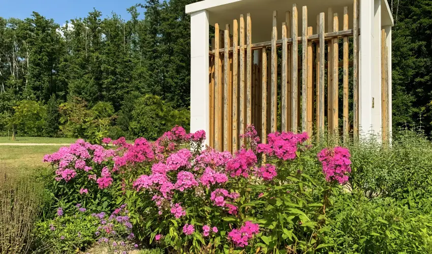 Hunguest Hotel Freya Zalakaros - Karcsony (min. 3 j)