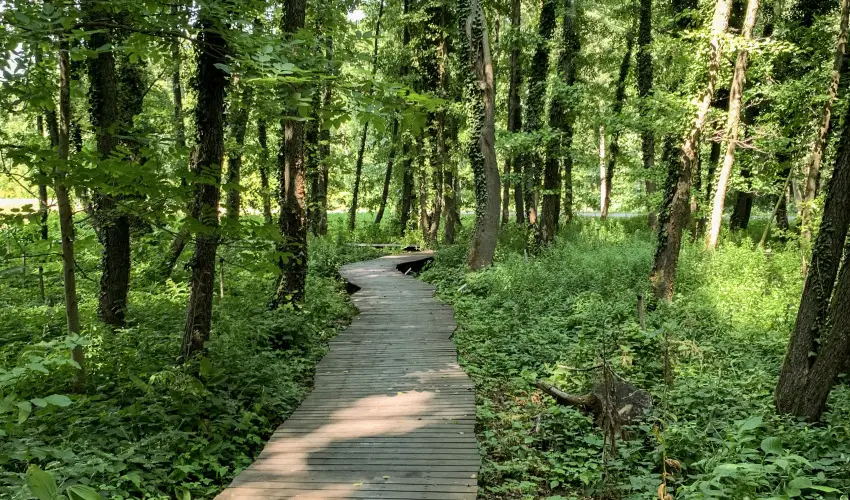 Hunguest Hotel Freya Zalakaros - Karcsony (min. 3 j)