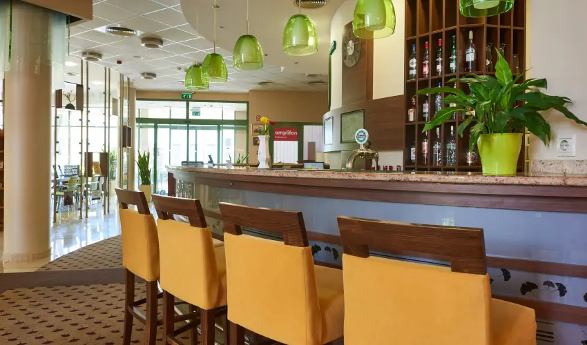 Hotel Ginkgo Hdmezvsrhely - Karcsony