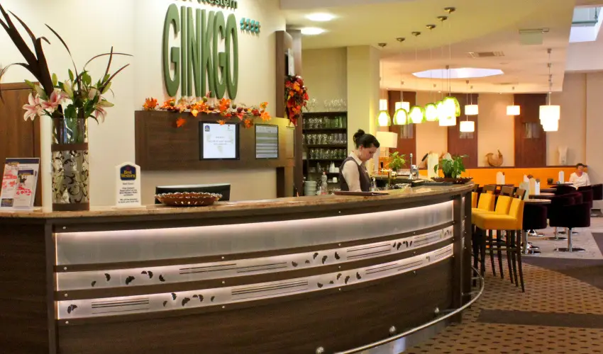 Hotel Ginkgo Hdmezvsrhely - Karcsony