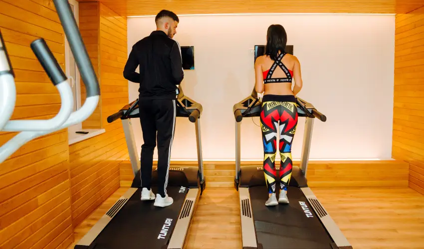 Hotel Ginkgo Hdmezvsrhely - Karcsony