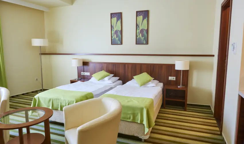 Hotel Ginkgo Hdmezvsrhely - Karcsony