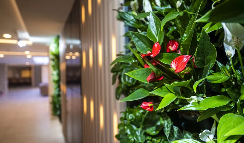 Greenfield Hotel Golf & Spa Bk, Bkfrd - Karcsony (min. 3 j)