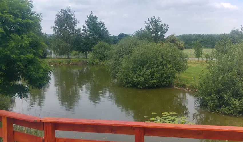 Hotel Hunor S�toralja�jhely - Kar�csony