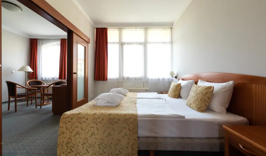 Hotel Karos Spa Zalakaros - Karácsony