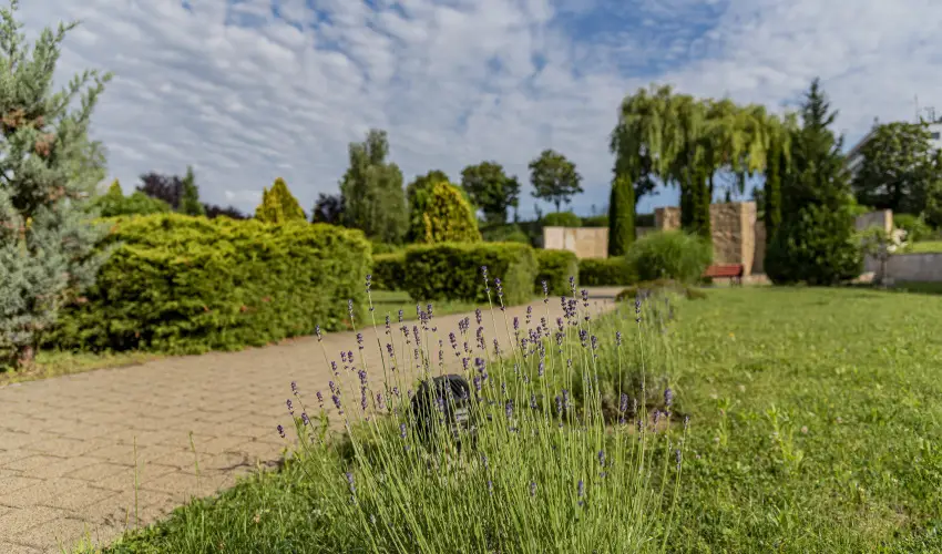 Hotel Karos Spa Zalakaros - Karácsony