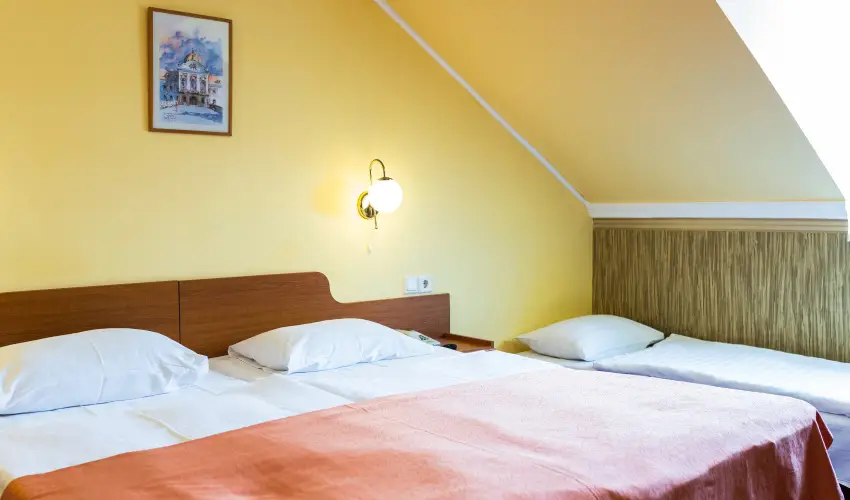 Hotel Korona Wellness, Rendezvény & Borhotel Eger Eger - Karácsony (min. 2 éj)