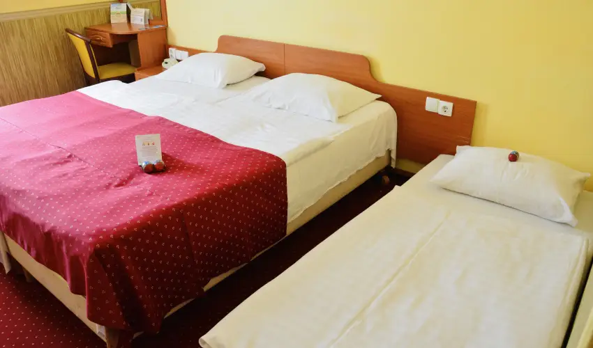 Hotel Korona Wellness, Rendezvény & Borhotel Eger Eger - Karácsony (min. 2 éj)