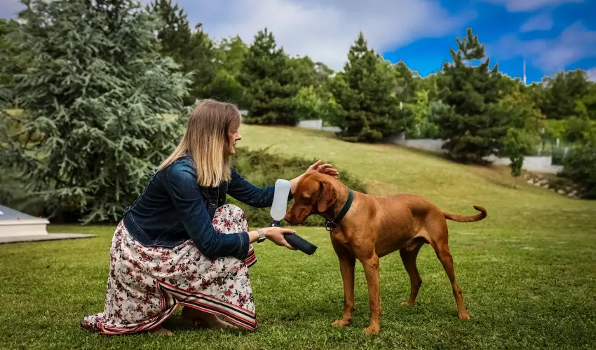 Sndor Hotel Pcs - Meghitt Karcsony