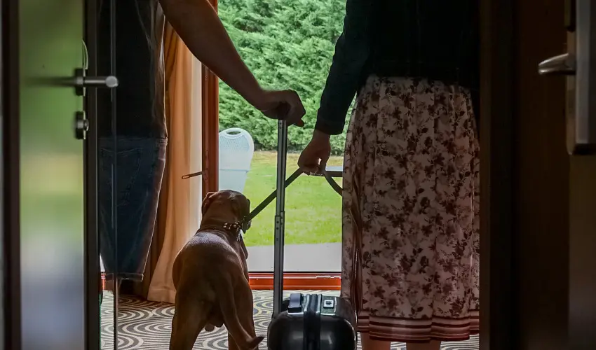 Sndor Hotel Pcs - Meghitt Karcsony