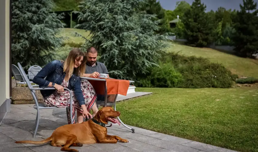 Sndor Hotel Pcs - Meghitt Karcsony