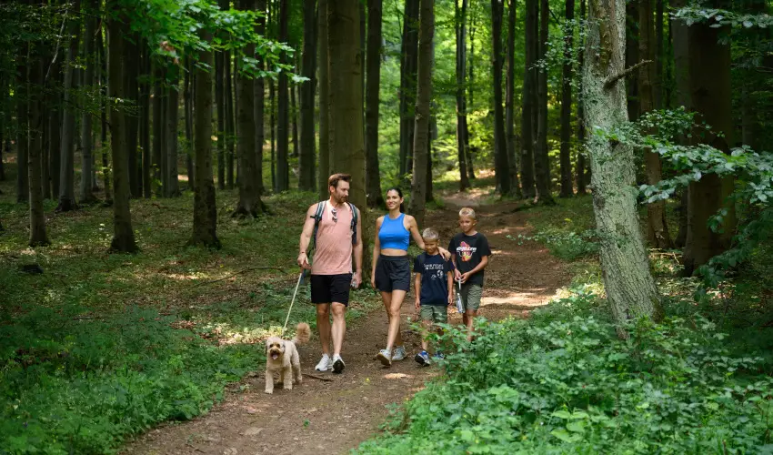 Hotel Narád Mátraszentimre - Karácsony