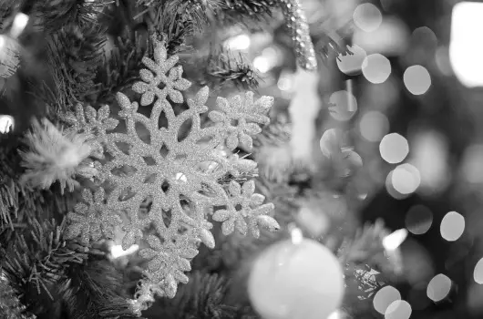 Hotel Ovit - Meghitt kar�csony a nagyi receptjeivel �s szeretet�vel (min. 2 �j)