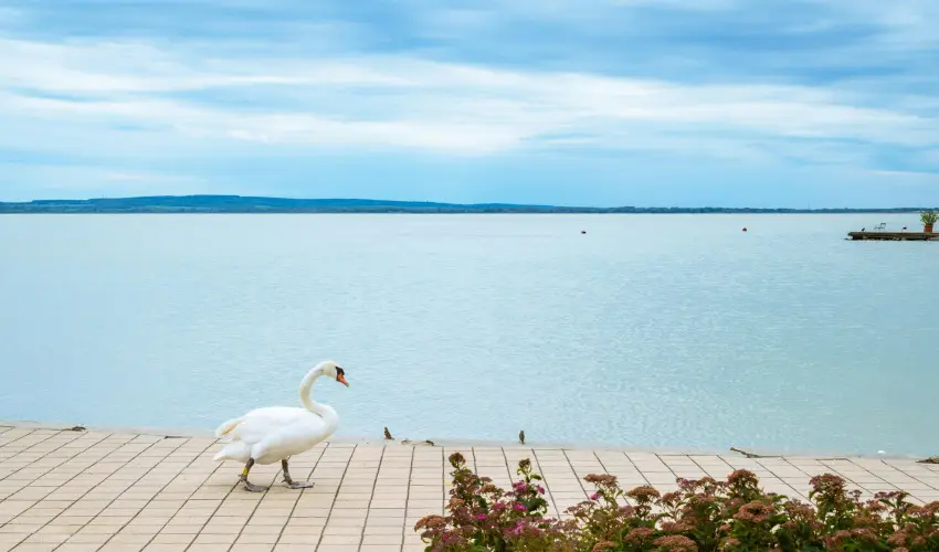 Hotel Ovit Keszthely - Meghitt karcsony a nagyi receptjeivel s szeretetvel (min. 2 j)