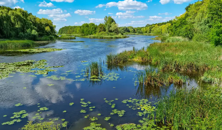 Hotel Ovit Keszthely - Meghitt karcsony a nagyi receptjeivel s szeretetvel (min. 2 j)