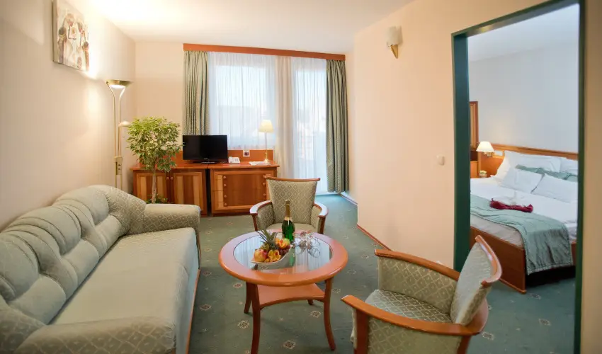 Palace Hotel  Hvz - Karcsony a Palace-ban (min. 2 j)