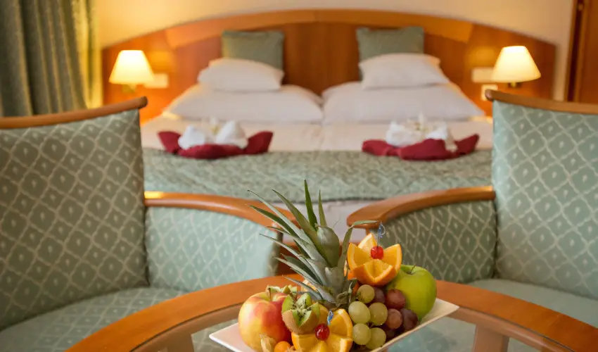 Palace Hotel  Hvz - Karcsony a Palace-ban (min. 2 j)