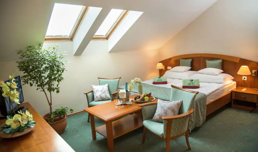 Palace Hotel  Hvz - Karcsony a Palace-ban (min. 2 j)