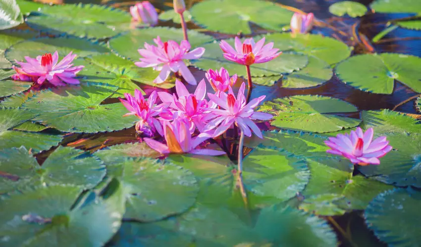 Hunguest Hotel Panorma Hvz - Karcsony (min. 3 j)