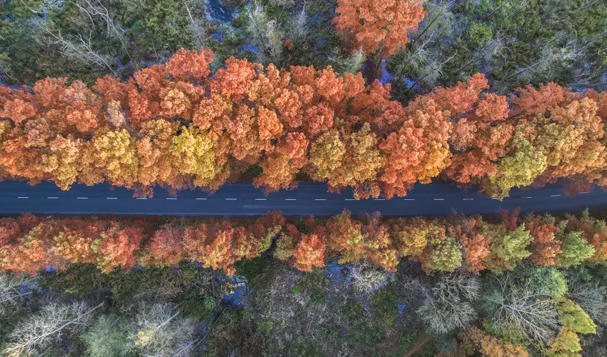 Hunguest Hotel Panorma Hvz - Karcsony (min. 3 j)