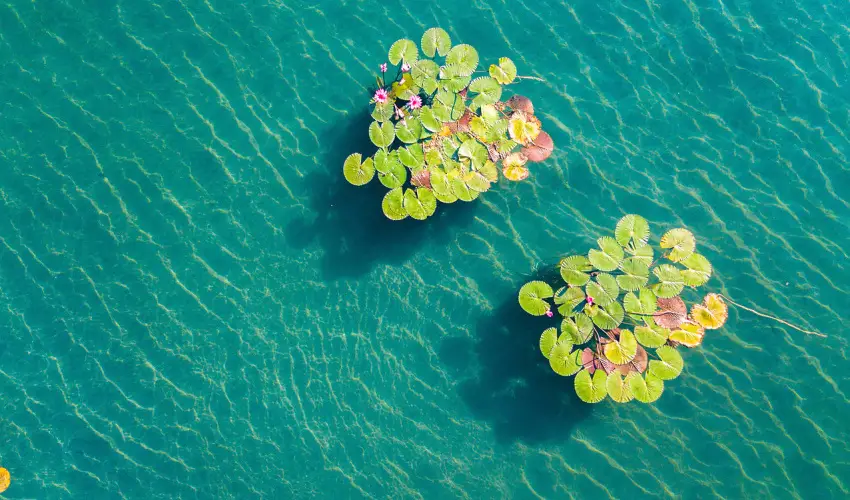 Hunguest Hotel Panorma Hvz - Karcsony (min. 3 j)