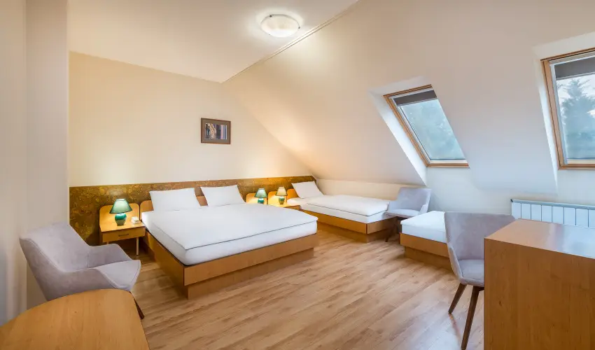 Platn Hotel Debrecen Debrecen - Karcsony