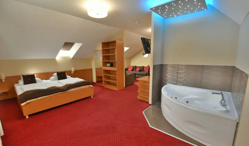 Hotel Platán Székesfehérvár Székesfehérvár - Karácsony