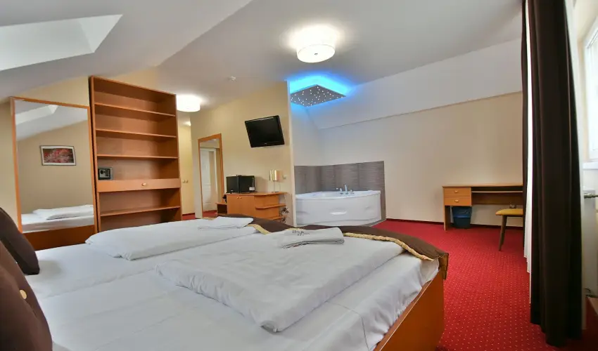 Hotel Platán Székesfehérvár Székesfehérvár - Karácsony