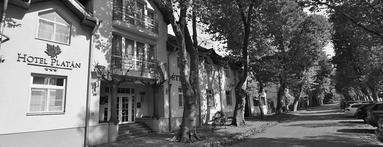 Hotel Platán Székesfehérvár Székesfehérvár - Karácsony