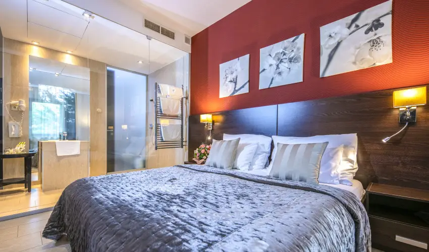 Hotel Stci Wellness & Konferencia Vecss - Karcsony (min. 2 j)