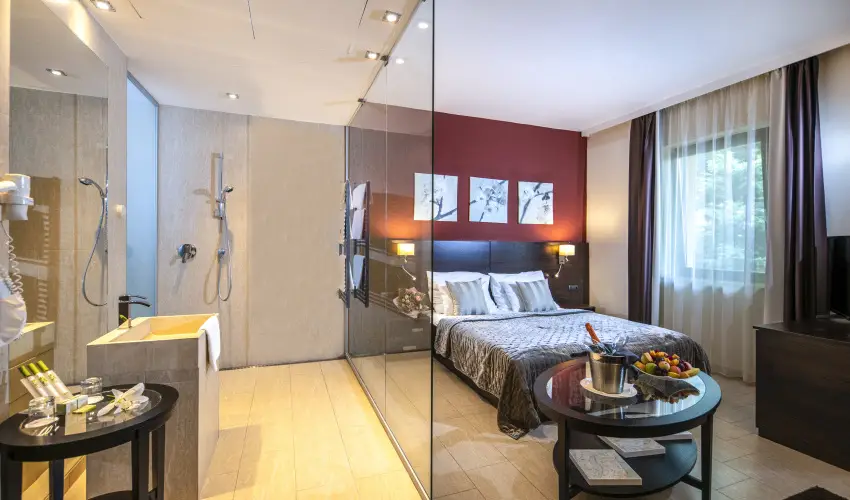 Hotel Stci Wellness & Konferencia Vecss - Karcsony (min. 2 j)