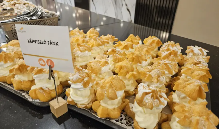 Hotel Szieszta Sopron - Karcsonyi Szieszta (min. 3 j)