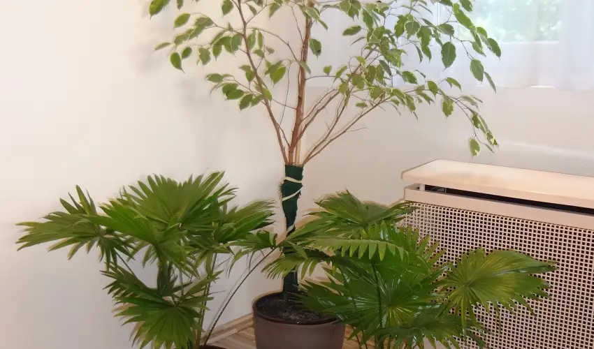 Hotel Touring Nagykanizsa - Karcsony