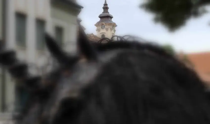 Hotel Unicornis Eger - Kar�csony