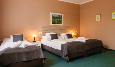 Hotel Unicornis Eger