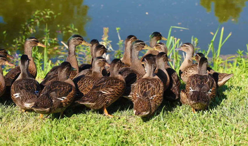 Terml Hotel Vesta Tpiszecs - Karcsony (min. 3 j)