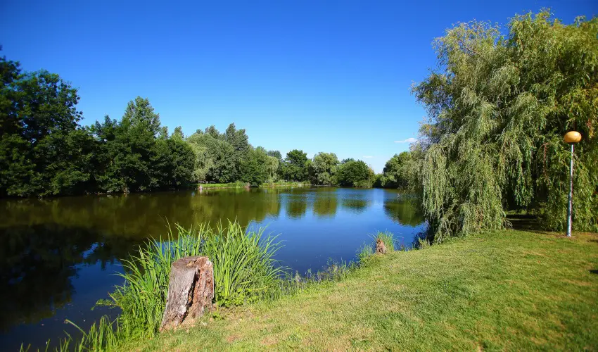 Terml Hotel Vesta Tpiszecs - Karcsony (min. 3 j)