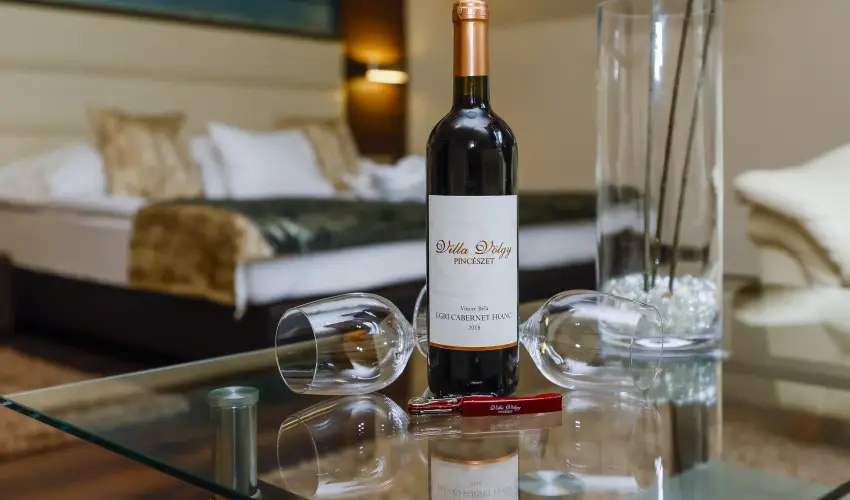 Hotel Villa Vlgy Eger - Karcsony (min. 2 j)