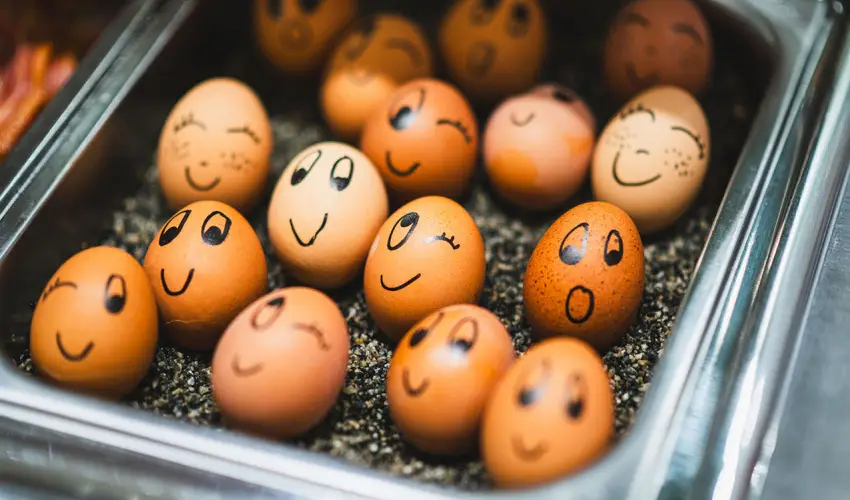 Hotel Xylophon Lutzmannsburg - Kar�csony f�lpanzi�val, f�rd�bel�p�vel