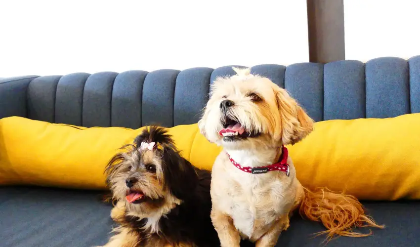 Hotel Yacht Wellness & Business Sifok - Karcsony (min. 3 j)