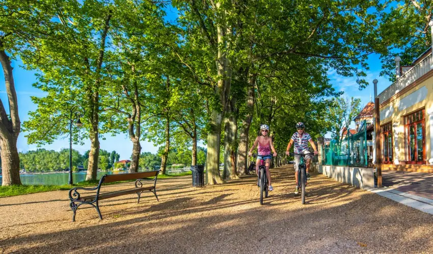 Hotel Anna Villa Balatonfldvr - Karcsony