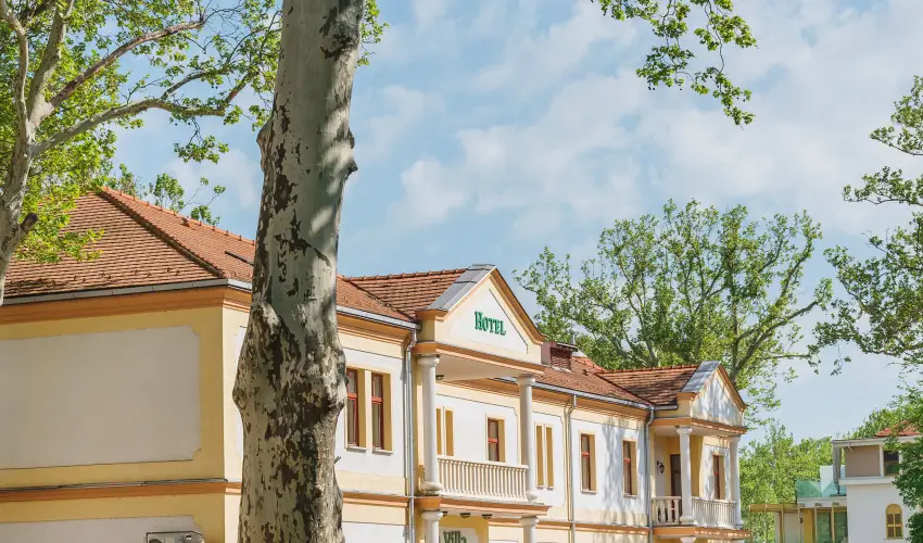 Hotel Anna Villa Balatonfldvr - Karcsony